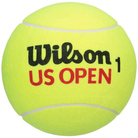 Wilson tennis balls 